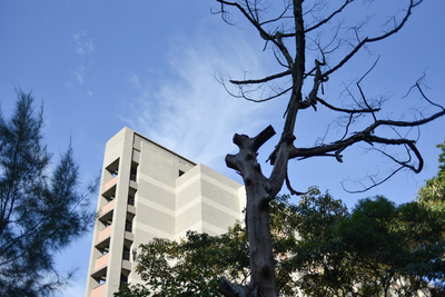 長庚大學_學生宿舍_Chang Gung University_CGU_Dorm_025