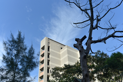 長庚大學_學生宿舍_Chang Gung University_CGU_Dorm_026