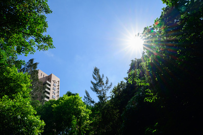 長庚大學_管理學院_Chang Gung University_CGU_Management_033