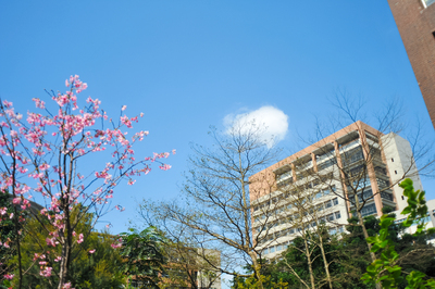 長庚大學_管理學院_Chang Gung University_CGU_Management_003
