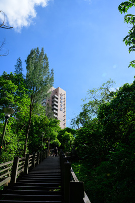 長庚大學_管理學院_Chang Gung University_CGU_Management_031