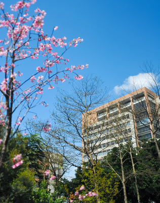 長庚大學_管理學院_Chang Gung University_CGU_Management_002