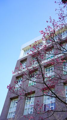 長庚大學_醫學院_Chang Gung University_CGU_Medical_017