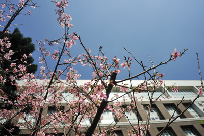 長庚大學_醫學院_Chang Gung University_CGU_Medical_023