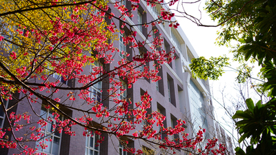 長庚大學_醫學院_Chang Gung University_CGU_Medical_020