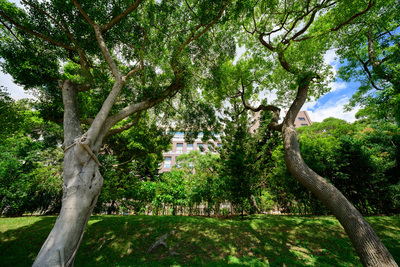 長庚大學_醫學院_Chang Gung University_CGU_Medical_041