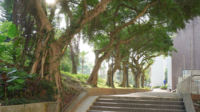 長庚大學_醫學院_Chang Gung University_CGU_Medical_031