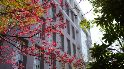 長庚大學_醫學院_Chang Gung University_CGU_Medical_014