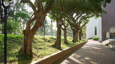 長庚大學_醫學院_Chang Gung University_CGU_Medical_032