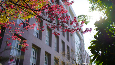 長庚大學_醫學院_Chang Gung University_CGU_Medical_015