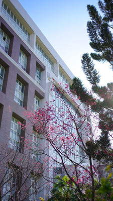長庚大學_醫學院_Chang Gung University_CGU_Medical_016