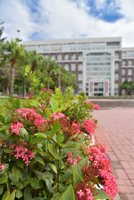 長庚大學_醫學院_Chang Gung University_CGU_Medical_004