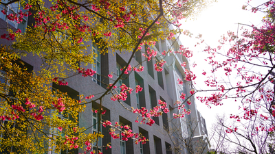 長庚大學_醫學院_Chang Gung University_CGU_Medical_021