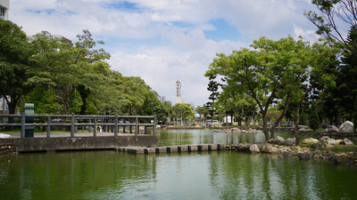 長庚大學_青蛙湖_Chang Gung University_CGU_Lake Frog_001