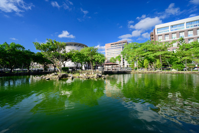 長庚大學_青蛙湖_Chang Gung University_CGU_Lake Frog_012