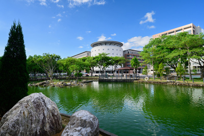 長庚大學_青蛙湖_Chang Gung University_CGU_Lake Frog_008