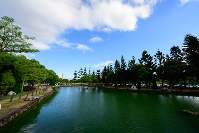長庚大學_青蛙湖_Chang Gung University_CGU_Lake Frog_018